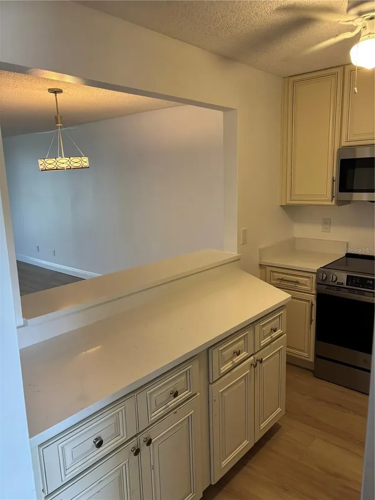 7405 Bay Island Drive S South Pasadena FL 33707