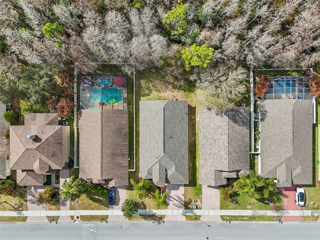 353 Bay Arbor Oldsmar FL 34677