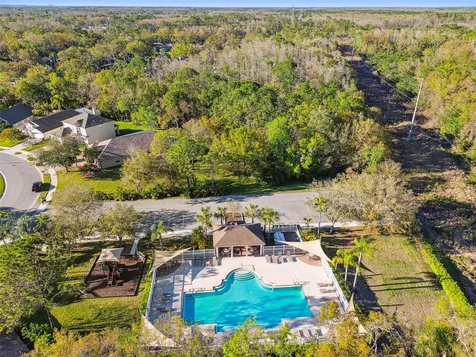 353 Bay Arbor Oldsmar FL 34677
