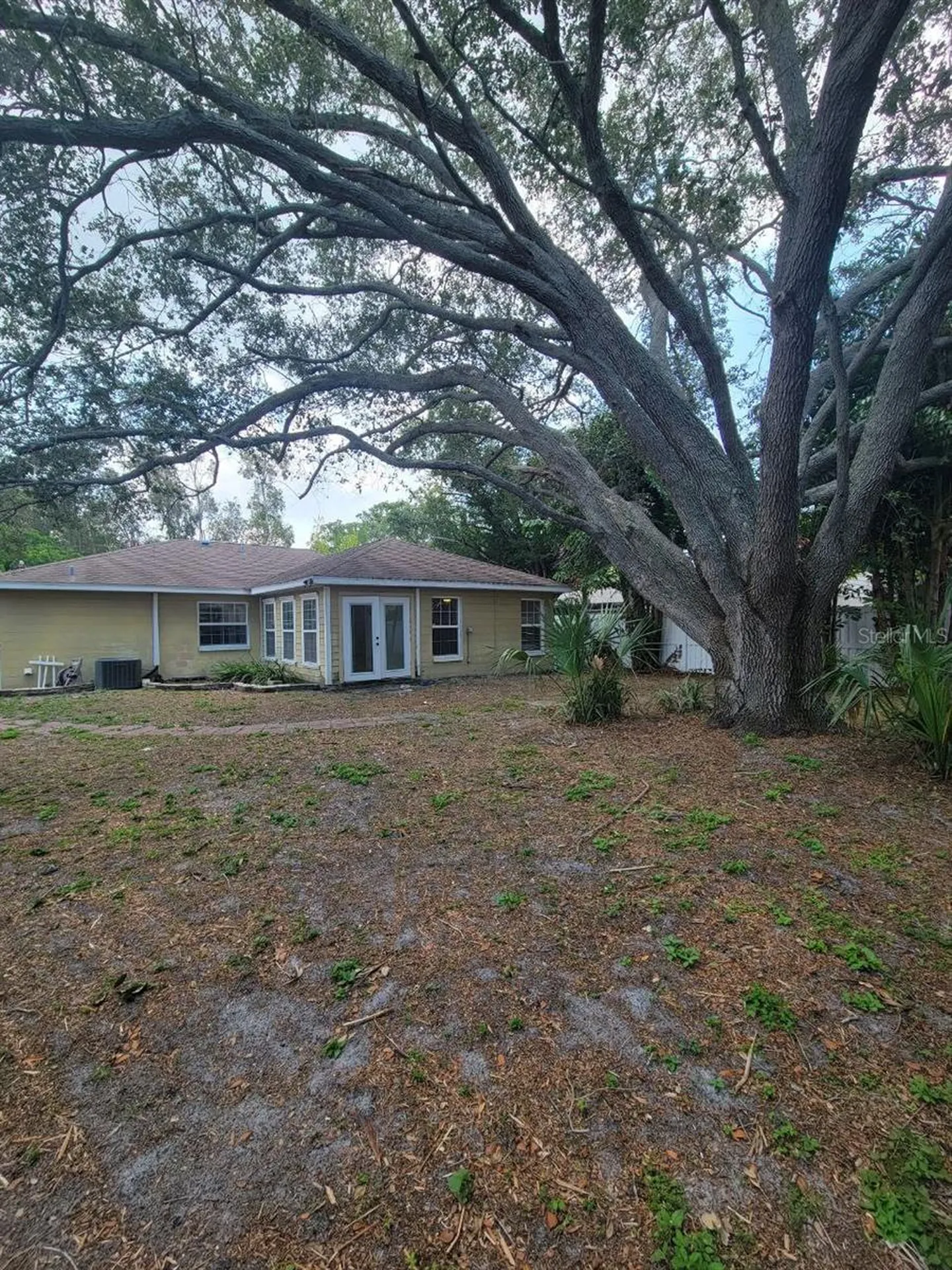 7109 S Shamrock Road Tampa FL 33616