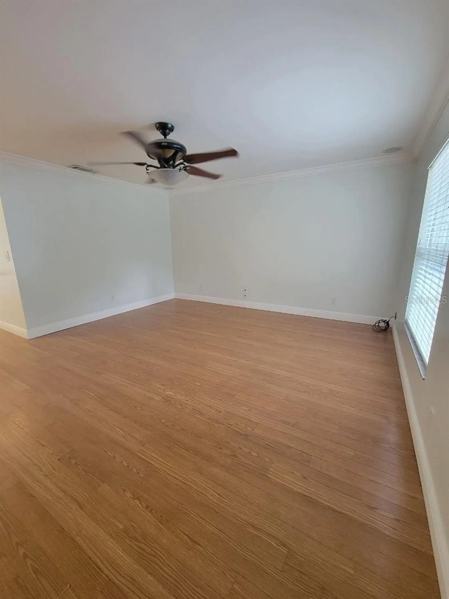 7109 S Shamrock Road Tampa FL 33616