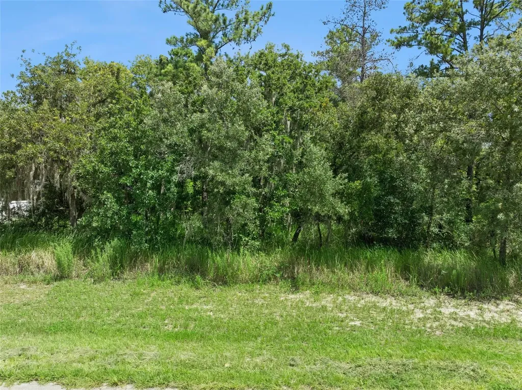 0 SW 128th Place Ocala FL 34473
