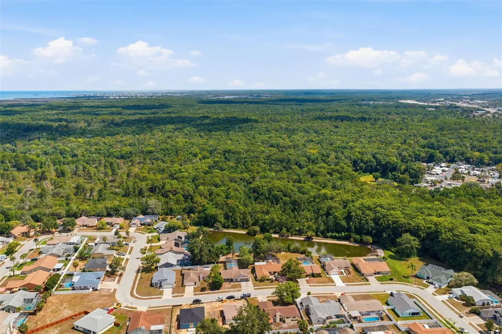 10110 Briar Circle Hudson FL 34667