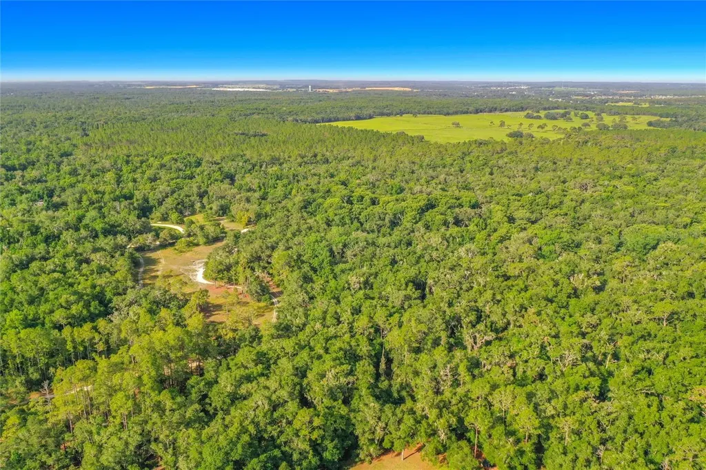 33099 Coral Rock Drive Webster FL 33597