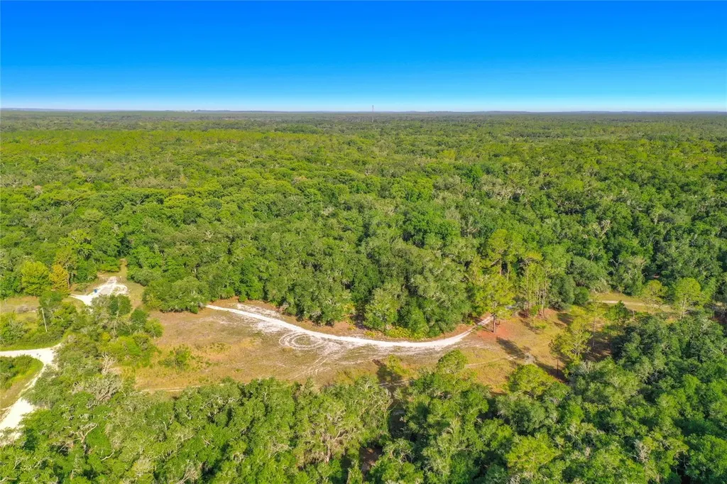 33099 Coral Rock Drive Webster FL 33597