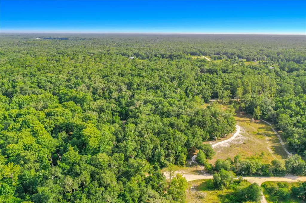33099 Coral Rock Drive Webster FL 33597
