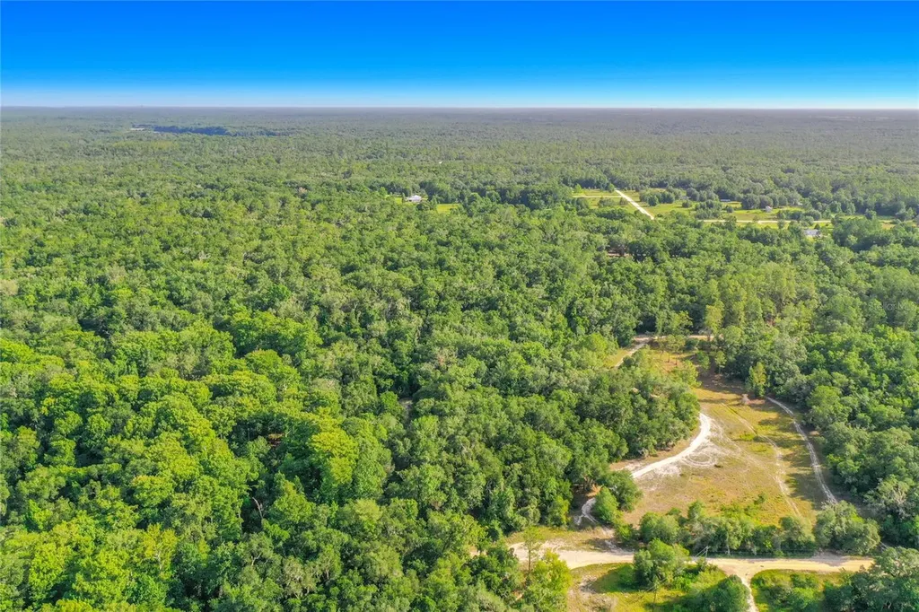 33099 Coral Rock Drive Webster FL 33597