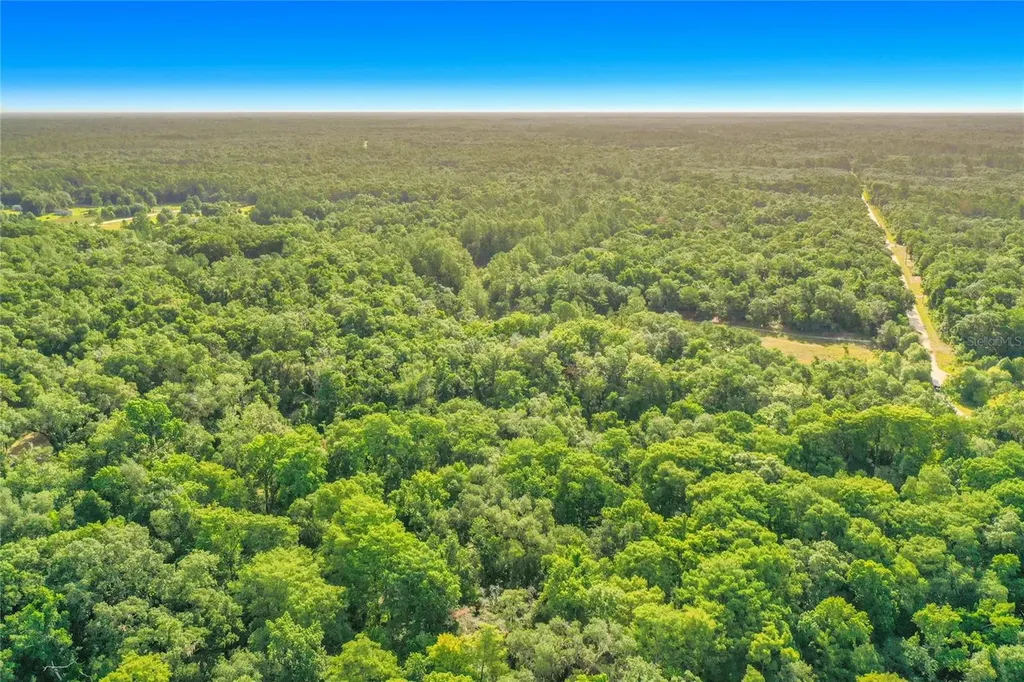 33099 Coral Rock Drive Webster FL 33597