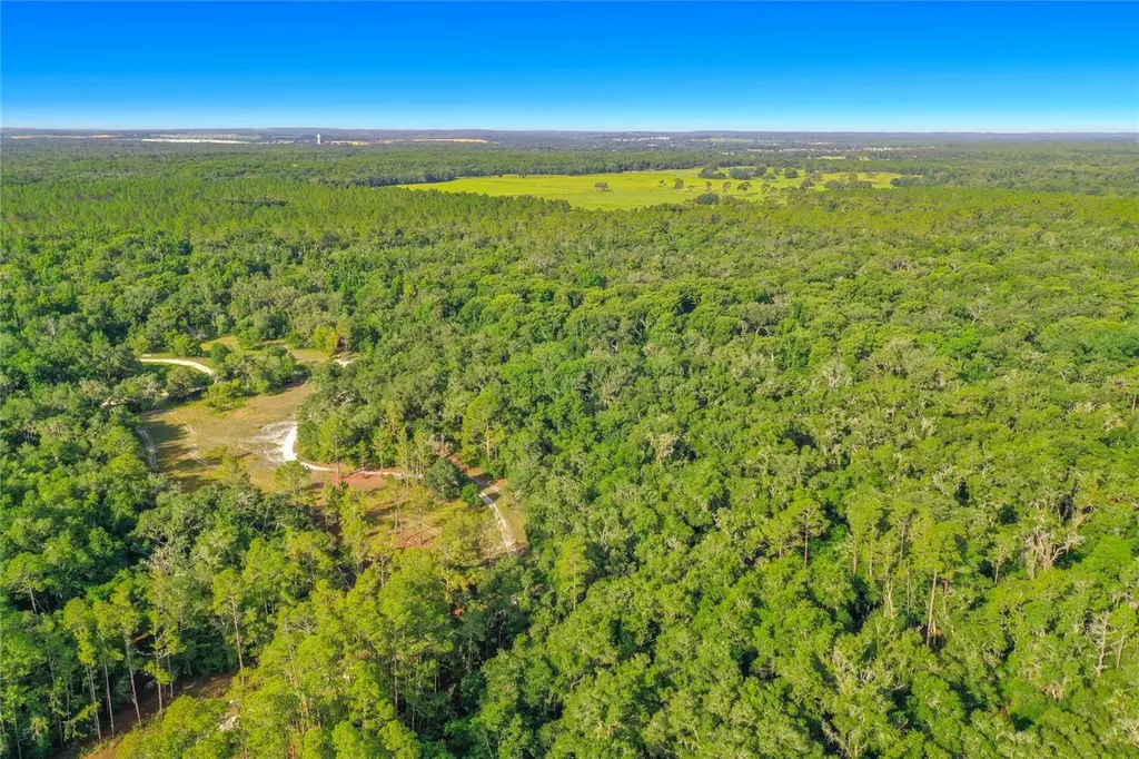 33099 Coral Rock Drive Webster FL 33597