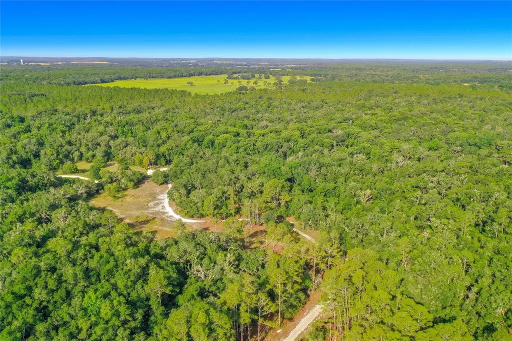 33099 Coral Rock Drive Webster FL 33597