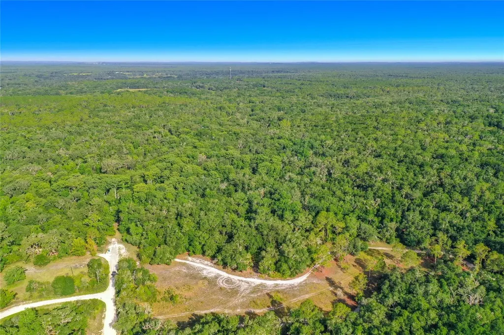 33099 Coral Rock Drive Webster FL 33597
