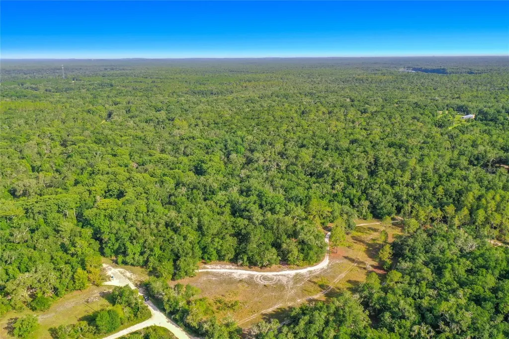 33099 Coral Rock Drive Webster FL 33597