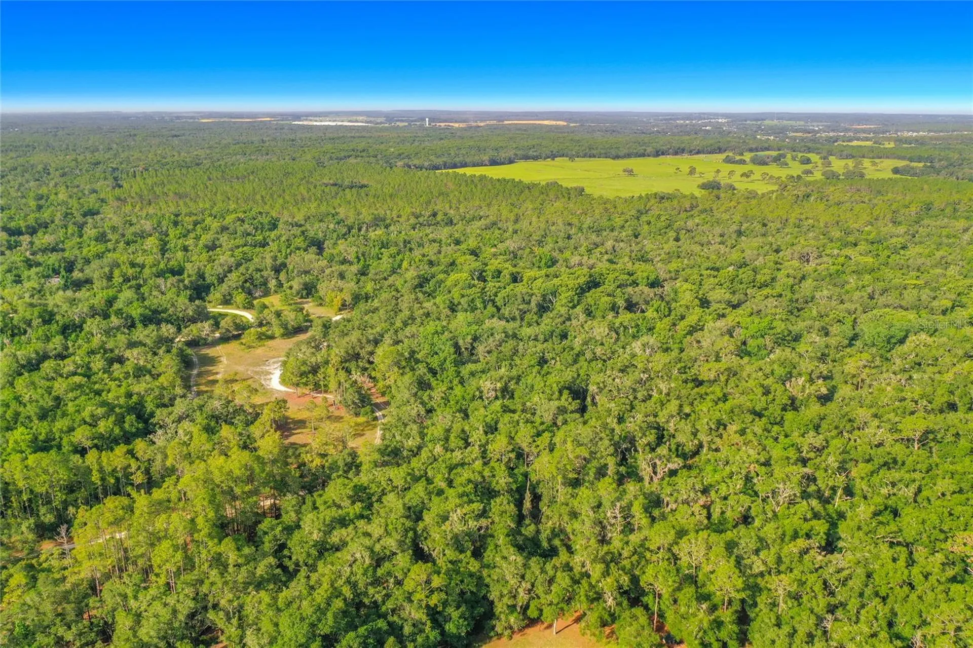 33099 Coral Rock Drive Webster FL 33597