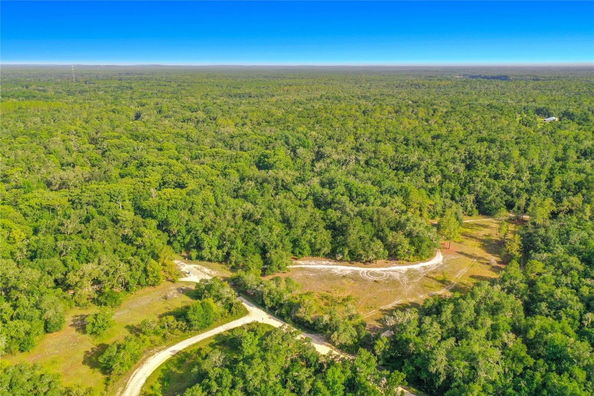 33099 Coral Rock Drive Webster FL 33597