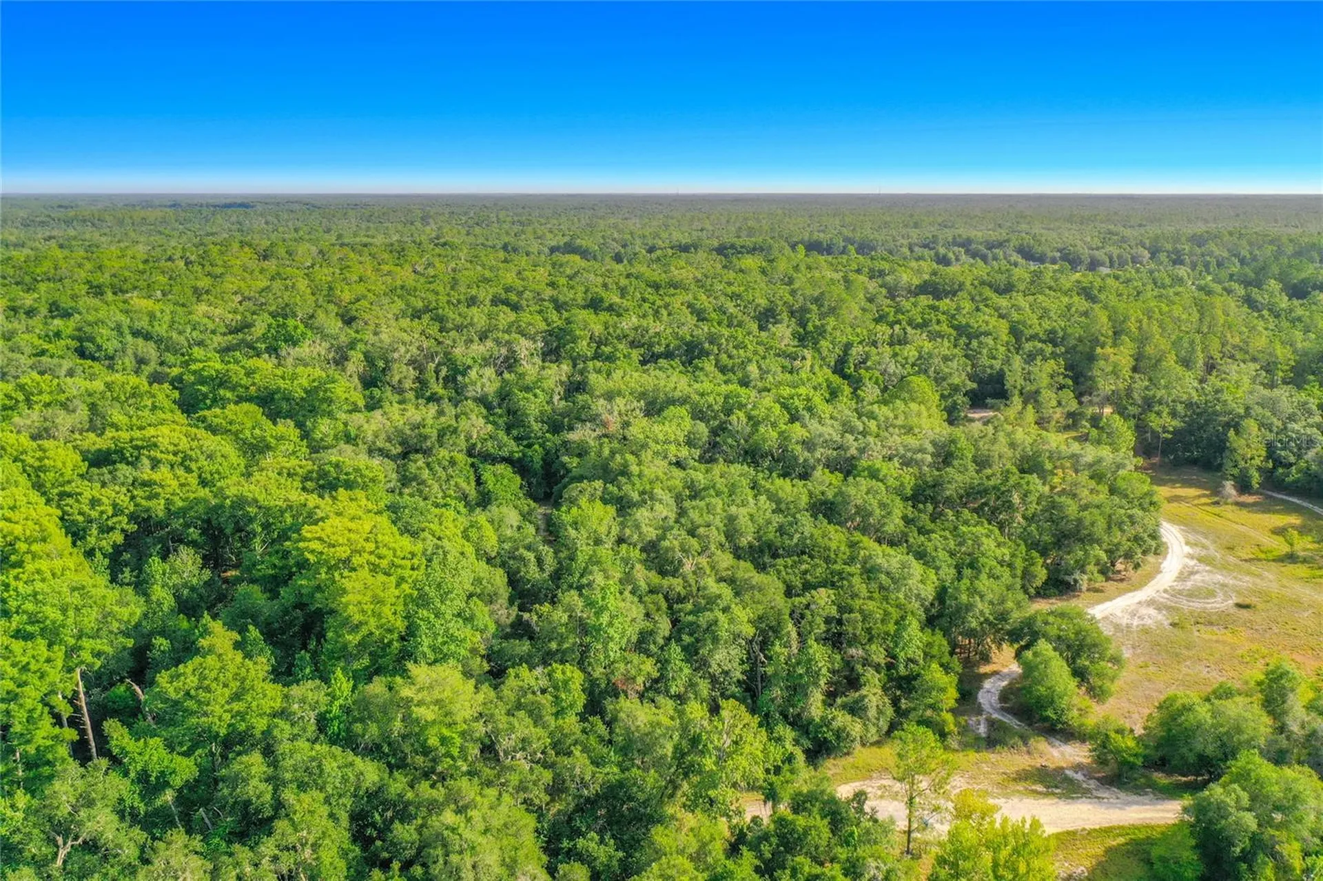 33099 Coral Rock Drive Webster FL 33597