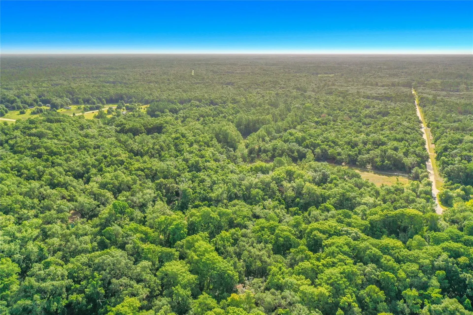 33099 Coral Rock Drive Webster FL 33597