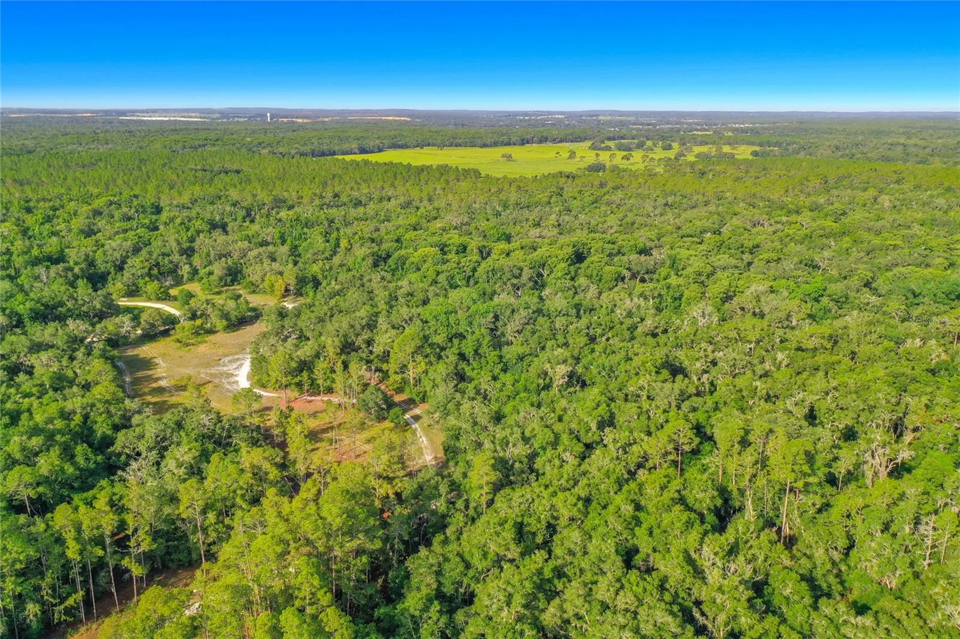 33099 Coral Rock Drive Webster FL 33597