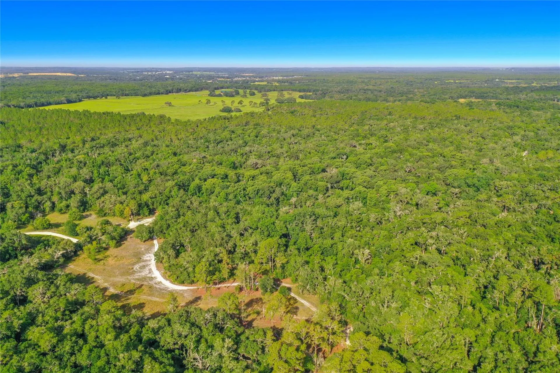 33099 Coral Rock Drive Webster FL 33597