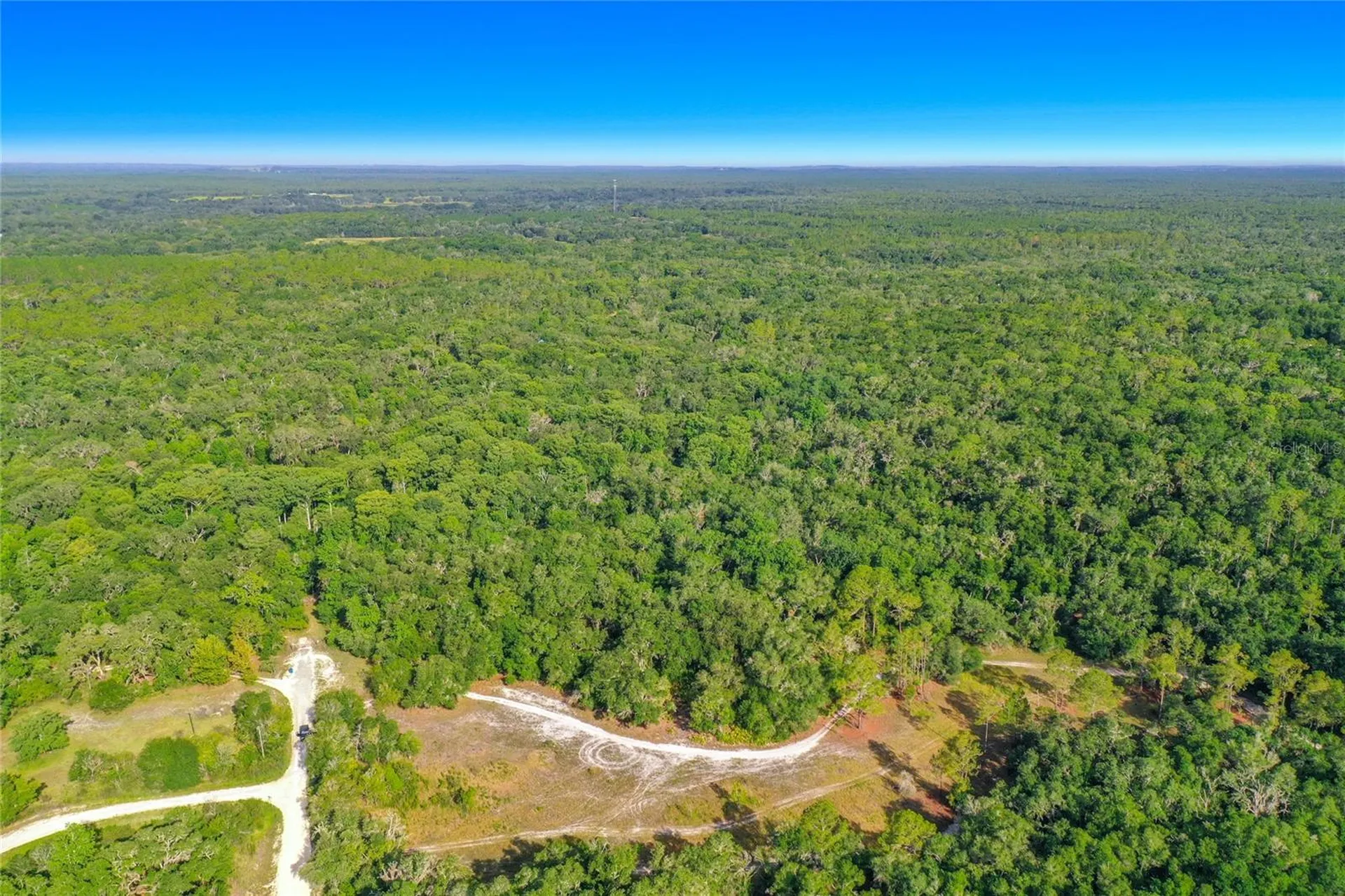 33099 Coral Rock Drive Webster FL 33597