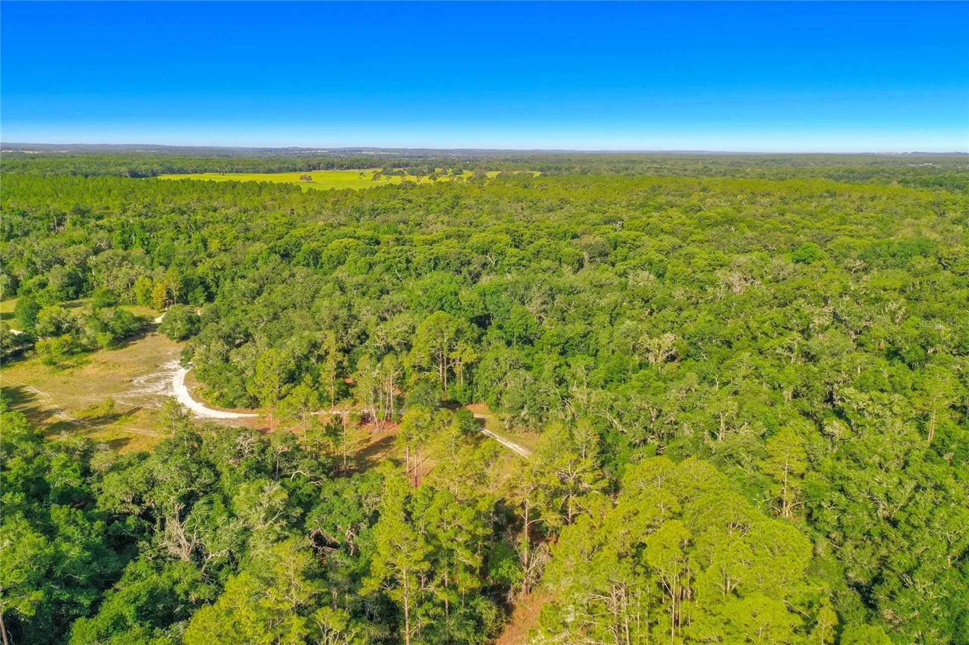 33099 Coral Rock Drive Webster FL 33597