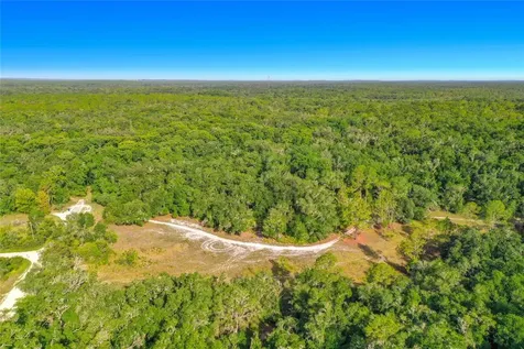 33099 Coral Rock Drive Webster FL 33597