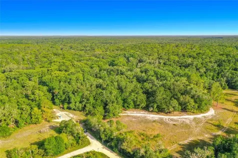 33099 Coral Rock Drive Webster FL 33597