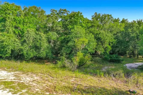 33099 Coral Rock Drive Webster FL 33597