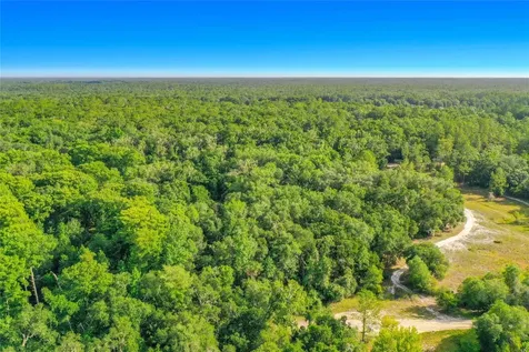 33099 Coral Rock Drive Webster FL 33597