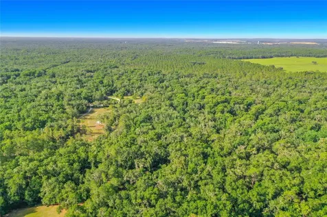 33099 Coral Rock Drive Webster FL 33597
