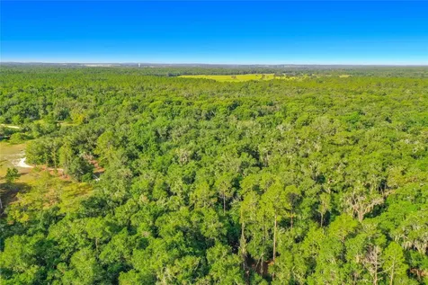 33099 Coral Rock Drive Webster FL 33597