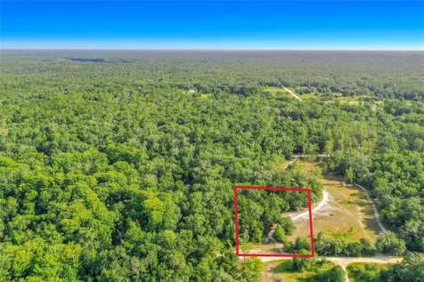 33099 Coral Rock Drive Webster FL 33597