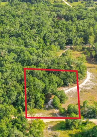 33099 Coral Rock Drive Webster FL 33597