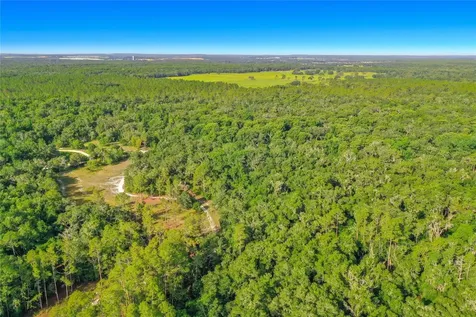 33099 Coral Rock Drive Webster FL 33597