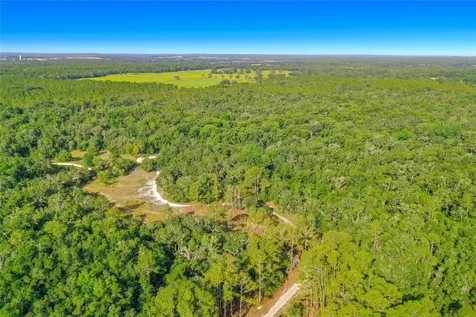 33099 Coral Rock Drive Webster FL 33597