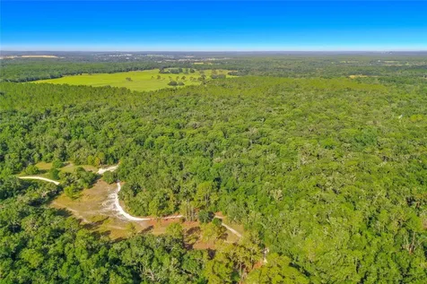 33099 Coral Rock Drive Webster FL 33597