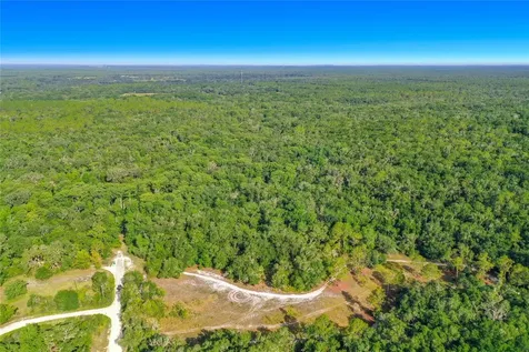 33099 Coral Rock Drive Webster FL 33597