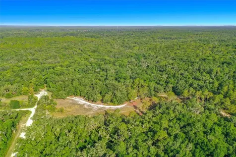 33099 Coral Rock Drive Webster FL 33597