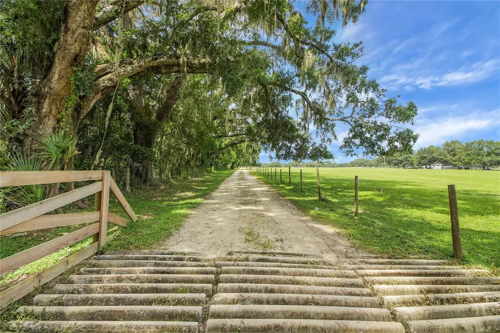 10757 County Road 223 Oxford FL 34484