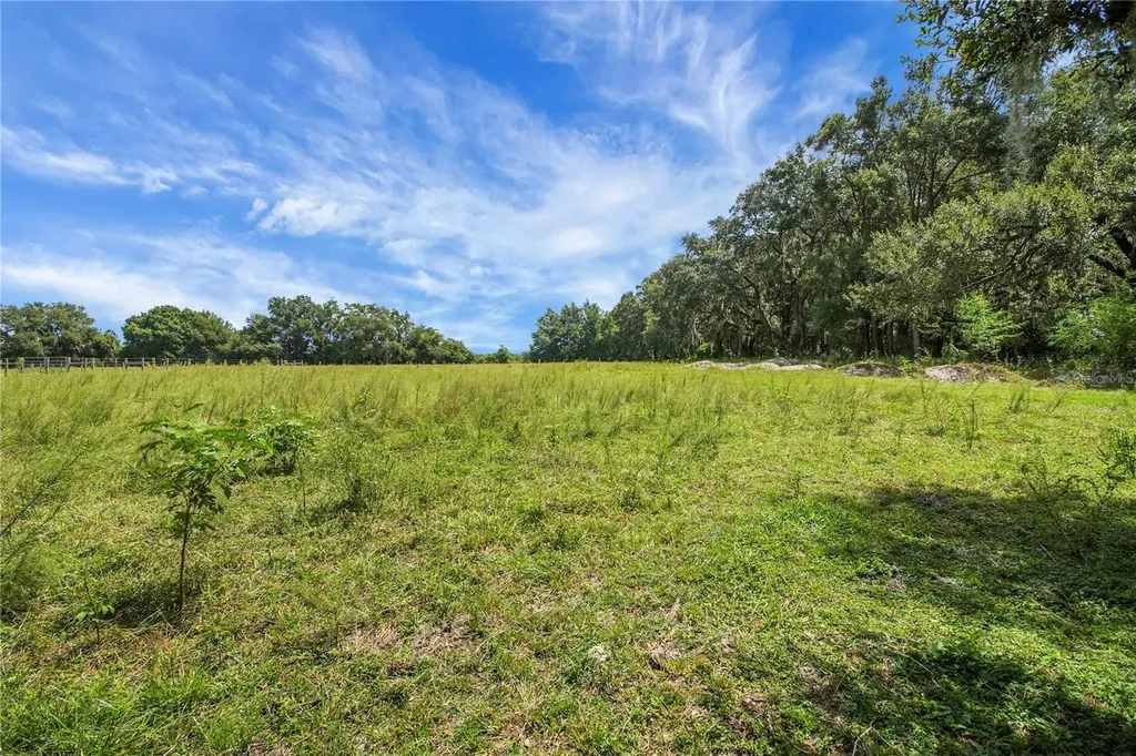 10757 County Road 223 Oxford FL 34484