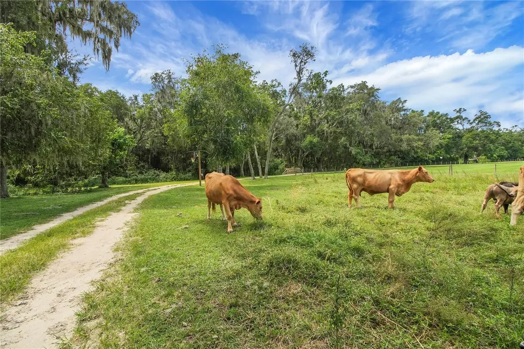 10757 County Road 223 Oxford FL 34484
