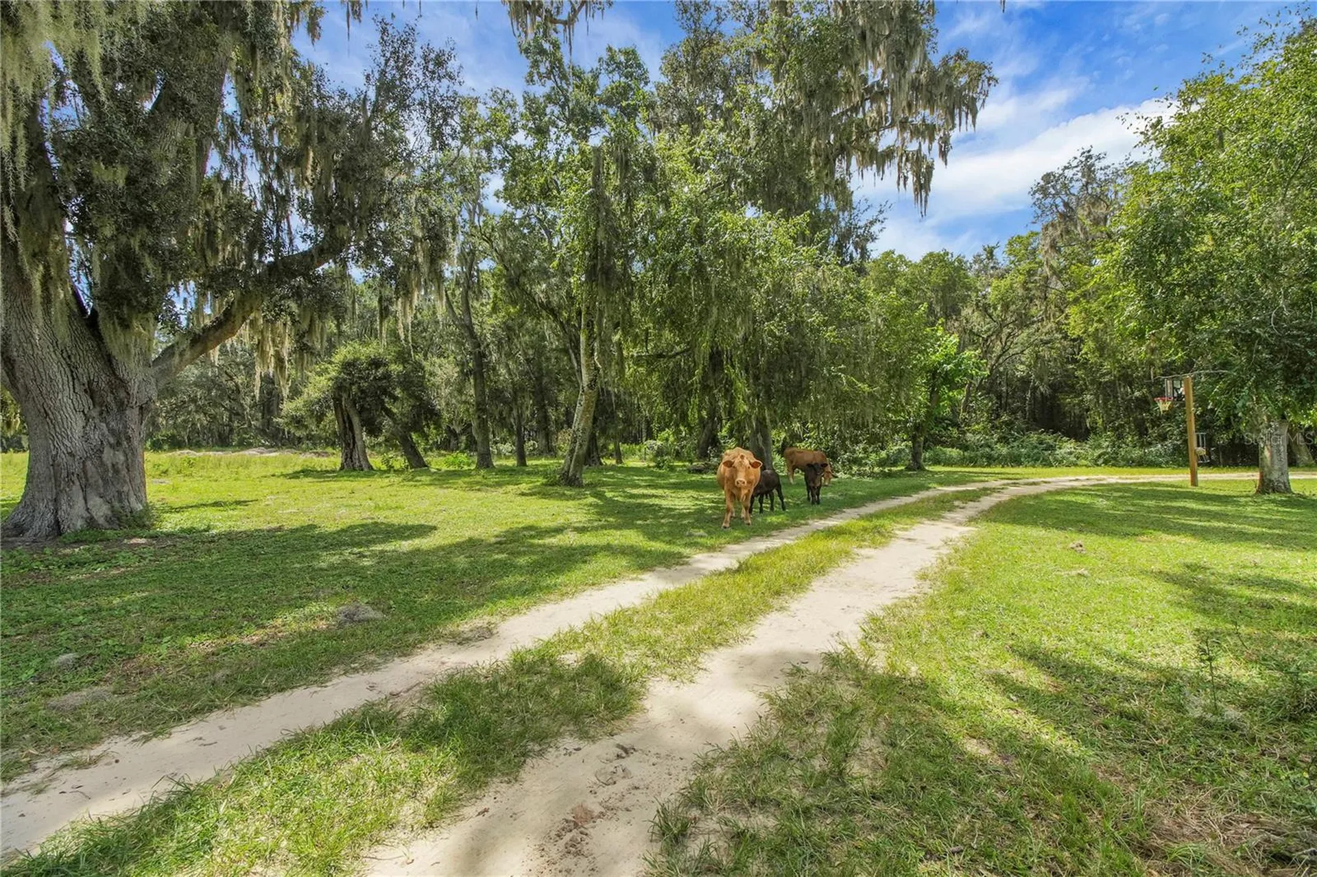 10757 County Road 223 Oxford FL 34484