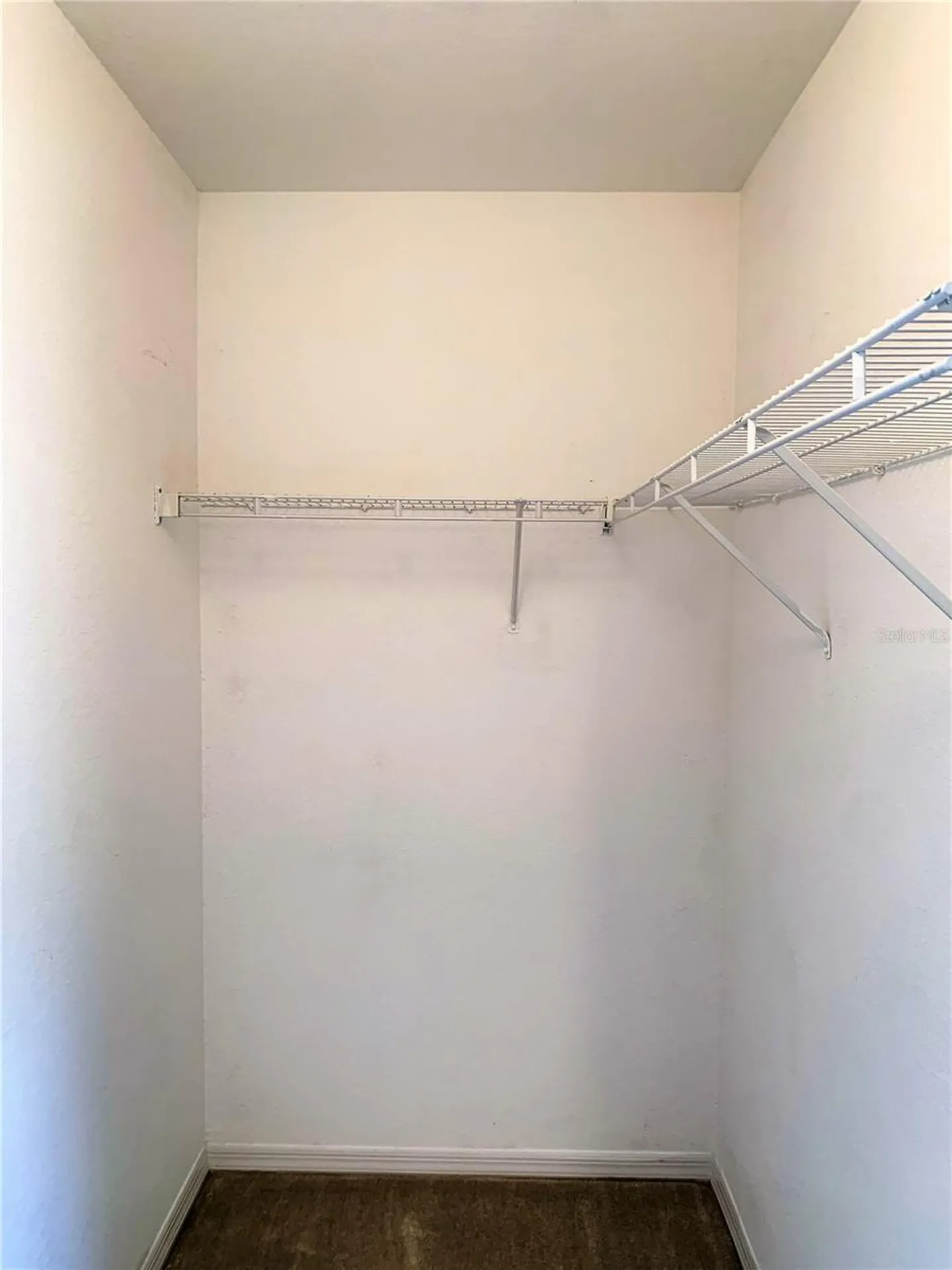 5208 Hampton Beach Place Tampa FL 33609