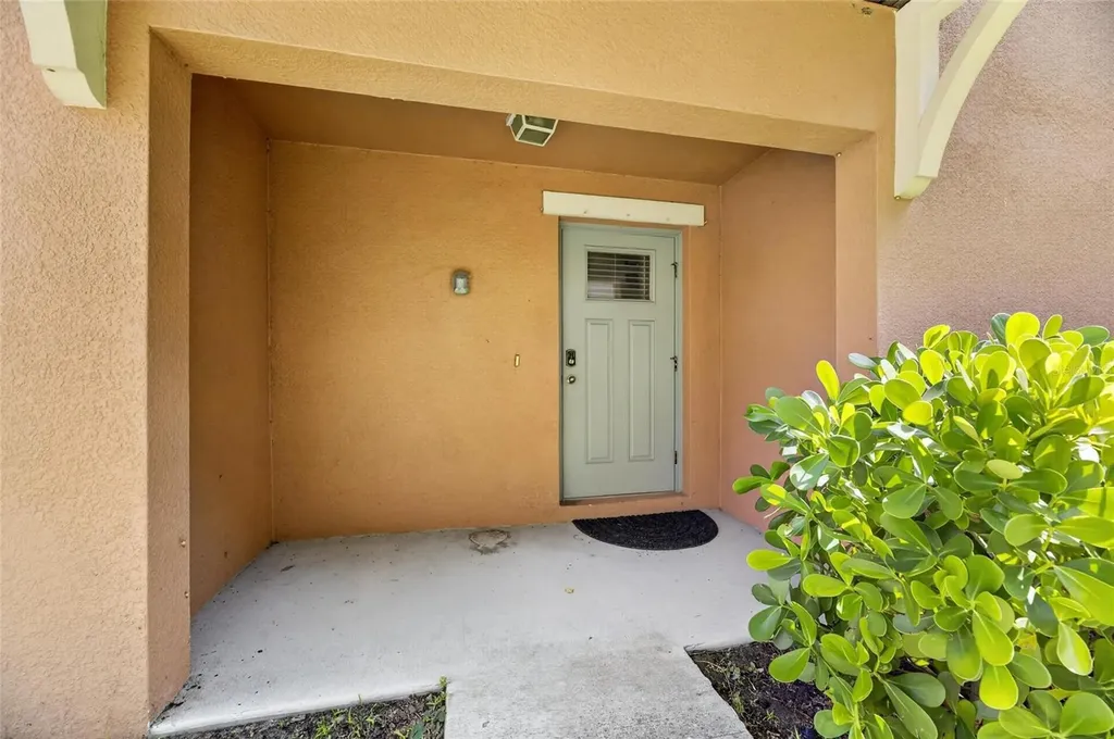 4424 Tuscan Loon Drive Tampa FL 33619