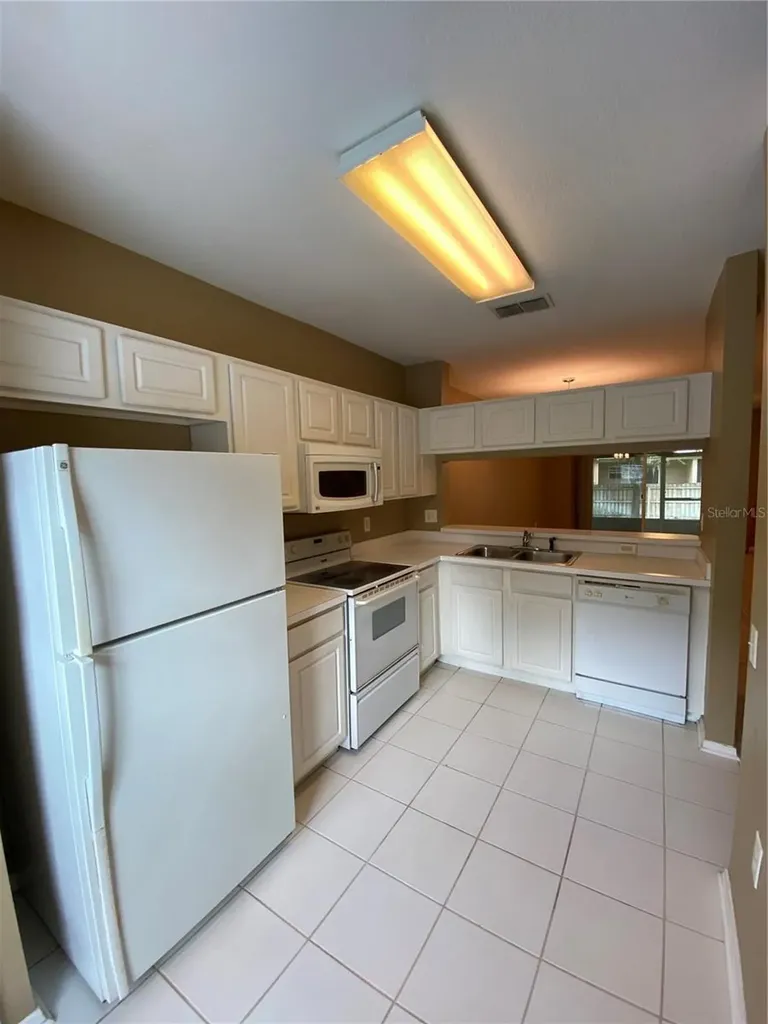 1309 Throckmorton Drive Wesley Chapel FL 33543