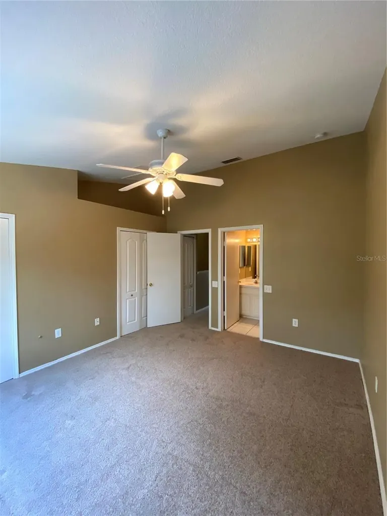 1309 Throckmorton Drive Wesley Chapel FL 33543