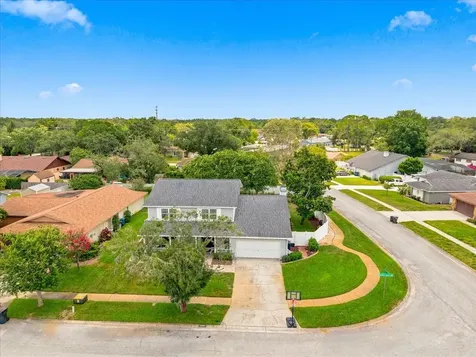 13101 Burnes Lake Drive Tampa FL 33612