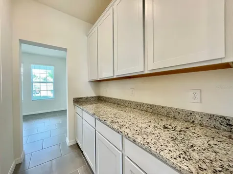 5520 Hollingworth Trail Wesley Chapel FL 33545