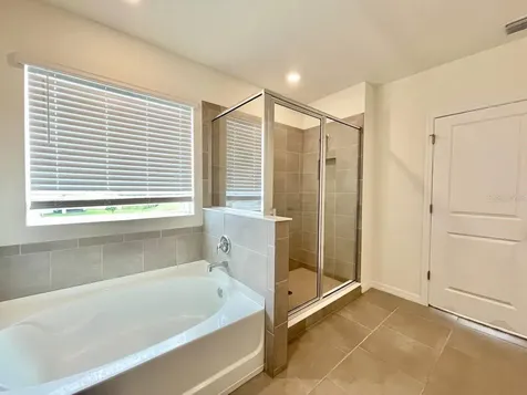 5520 Hollingworth Trail Wesley Chapel FL 33545