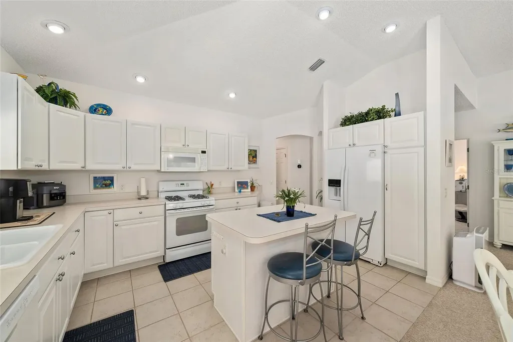 17239 SE 84th Knight Avenue The Villages FL 32162