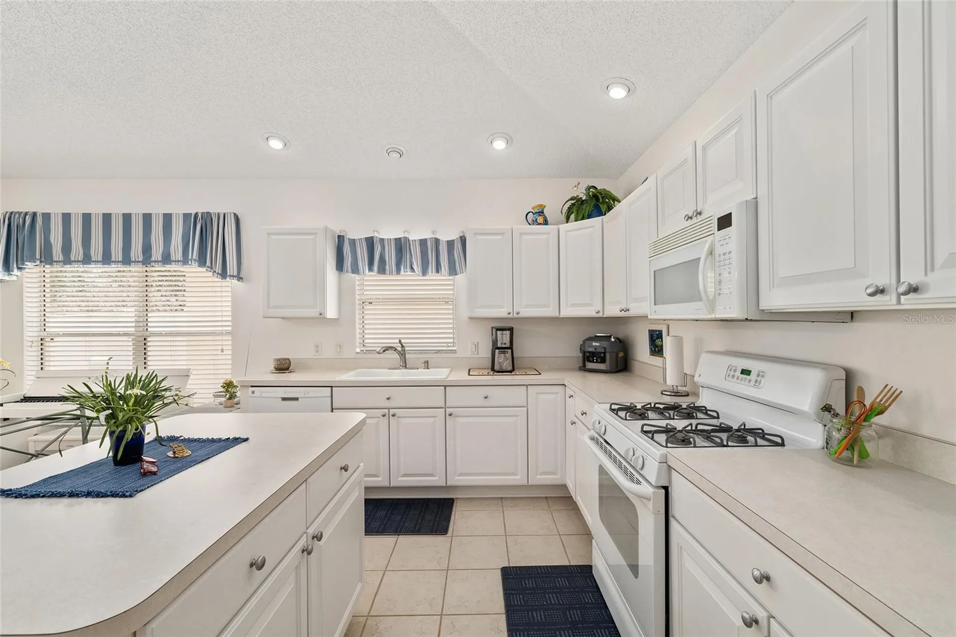 17239 SE 84th Knight Avenue The Villages FL 32162